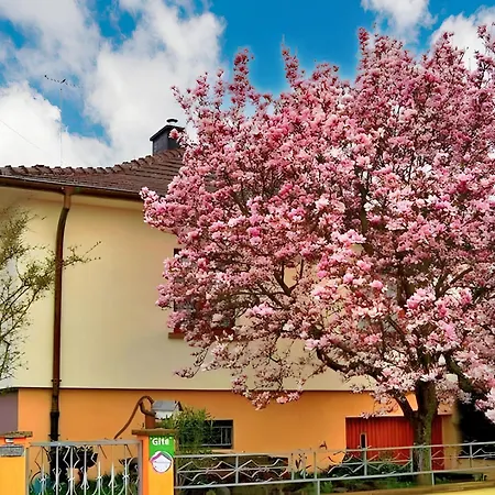 A Avec Terrasse Et Jardin