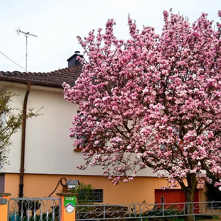 A Avec Terrasse Et Jardin